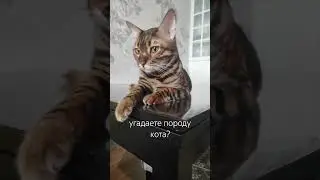 #глобальныерекомендации
