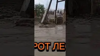 Офати Таби Ёвон