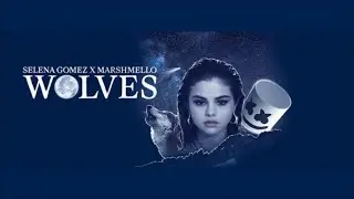 Singing Wolves By Marshmello and Selena Gomez. For an hour.