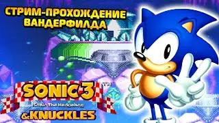 Вспоминаем Классику с Вандерфилдом в SONIC 3 & KNUCKLES - SEGA СТРИМ