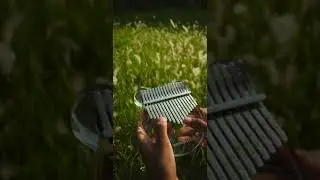 Interstellar main theme by Hans Zimmer on Kalimba.
