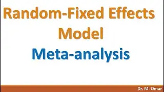 Fixed Random effects model meta analysis