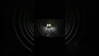 Naughty boys rescued from rain drain