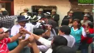 PALLA ALISINA - cura cabeza .1