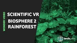 Biosphere 2 Rainforest Point Cloud Wonder Video
