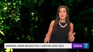 Explainer: How do mosquitoes transfer West Nile virus