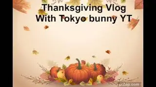 Thanksgiving vlog With Tokyo bunny YT