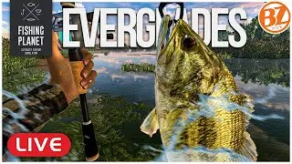 Froggin' Largemouth Bass in the Everglades! l Fishing Planet [LIVE]