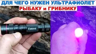 ДЛЯ ЧЕГО НУЖЕН УЛЬТРАФИОЛЕТОВЫЙ ФОНАРИК РЫБАКУ И ГРИБНИКУ
