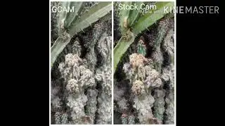 Redmi Note 9 Pro GCAM vs Stock Cam