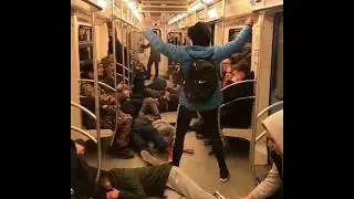 Чисто тюлени распластались
