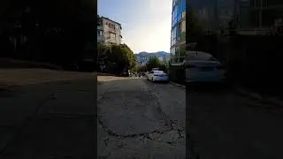 обыденность 