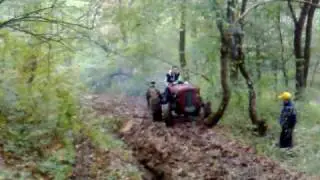 Traktor-IMT 542 vs IMT 533 vs Torpedo  4506-Pinosava Racing