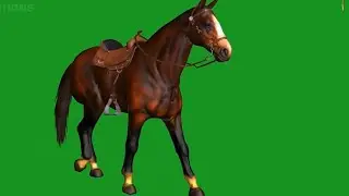 Green screen vfx animalvideoHow to make trending vfxanimal video in kinemaster@mrdshortschannel.0