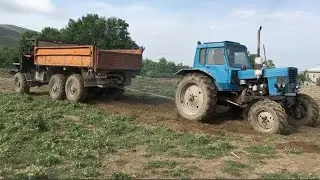 Урал Против Трактор МТЗ 82 | Сравнение 2020