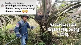 Nekad jadi petani di Era Berseragam dan Berdasi. Menjadi Petani siapa takut!!!