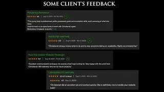 freelance wordpress developer