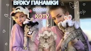 Вяжу милые панамки своему коту (=^ェ^=)