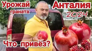 🇹🇷 ЧТО привез МУЖ / ПОКУПКИ и НАШ ЗАВТРАК #аринаайрен #влогтурция #анталия