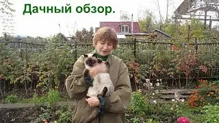 Дачный обзор. Дачные дела в октябре.