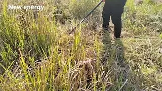 Actual use effect of grass cutter machine #nplus #newenergy