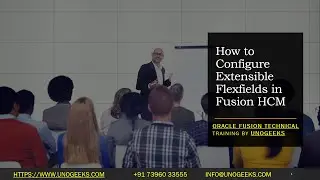 Oracle Fusion Technical Training | Oracle Fusion Technical Tutorials| Flexfields in Fusion HCM | EFF