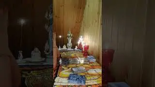 МЫСЛИ МУЖЧИНЫ О ВАС СЕЙЧАС!!!! / PROTARO 1233