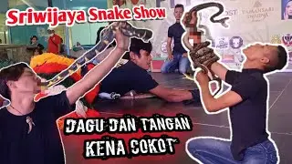 DAGU DAN TANGAN DI GIGIT ULAR SAAT ATRAKSI ‼️ Sriwijaya Snake Show At PIM