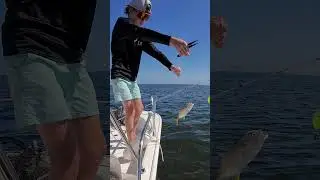 Mom's First Cobia - Family Fishing Trip