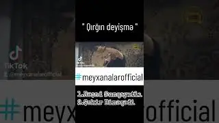 Meyxana - Şakir Binəqədi & Rəşad Sumqayıt