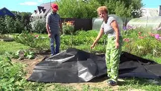 Как оформить клумбу декоративной корой.  Используем Агротекс Гео