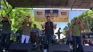 Joseph Palacios - Anhelo - Los Adolescentes #salsa