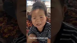 Алиш хофиздан кушик.