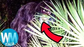 Top 10 TEORIE più FOLLI dietro FOTO di CREATURE MISTERIOSE!