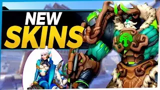 Overwatch NEW Legendary Skins - Dva and Reinhardt All Star Overwatch Skins
