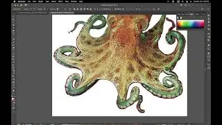 Final Challenge - Octopus
