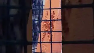 КАК ВСЕГДА!  👍