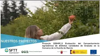 Proyecto 22OHM1_5 Comportamiento Agronómico de distintas Variedades de GRANADA en Huerta de Murcia