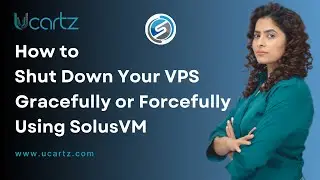 How to Shut Down Your VPS Gracefully or Forcefully Using SolusVM