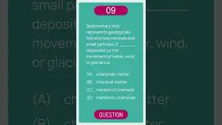 No.209 | TOEFL - Structure Questions (Object of Preposition / Noun Phrase)