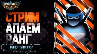 СТРИМ ПО MOBILE LEGENDS BANG BANG ПРИСОЕДИНЯЙСЯ В ДРУЖЕСКУЮ АТМОСФЕРУ НА ПРЯМОЙ ТРАНСЛЯЦИИ.