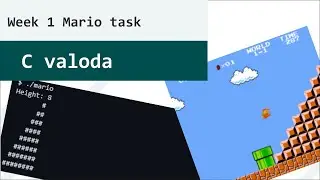 DIP750 - 1.  nedēļas Patstāvīga darba MARIO skaidrojums