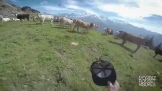когда нужен перерыв на работе