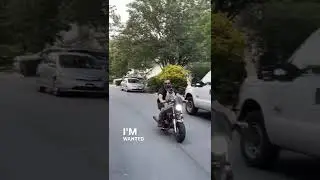 Dog riding motorcycle