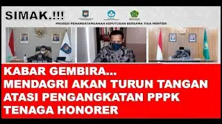 Kabar Gembira - Mendagri Akan Turun Tangan Atasi Pengangkatan PPPK Tenaga Honorer