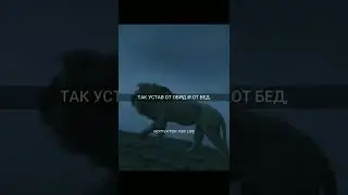 Никогда вы меня не сломаете! Я сильнее, чем кажется вам!... 