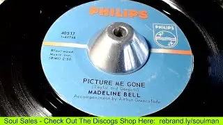 Sales - Madeline Bell - Picture Me Gone