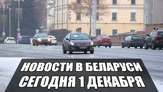 Новости в Беларуси сегодня 1 декабря. Минск сегодня, Очереди, Мигранты. Последние новости.