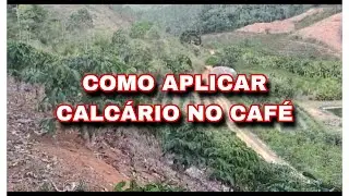 COMO APLICAR CALCÁRIO NO CAFÉ