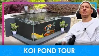 Beautiful Glass Pond with HUGE Koi! | Meet Daniel Blackman